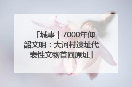 城事｜7000年仰韶文明：大河村遗址代表性文物首回原址