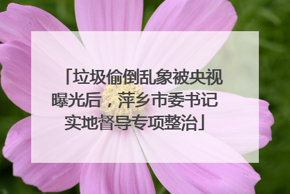 垃圾偷倒乱象被央视曝光后，萍乡市委书记实地督导专项整治