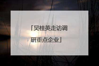 吴桂英走访调研重点企业