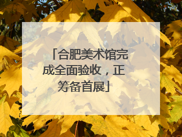 合肥美术馆完成全面验收，正筹备首展