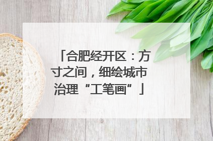 合肥经开区：方寸之间，细绘城市治理“工笔画”
