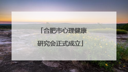 合肥市心理健康研究会正式成立