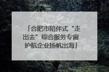 合肥市陪伴式“走出去”综合服务专窗护航企业扬帆出海