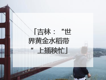 吉林：“世界黄金水稻带”上插秧忙
