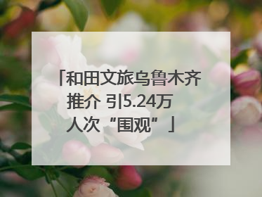 和田文旅乌鲁木齐推介 引5.24万人次“围观”