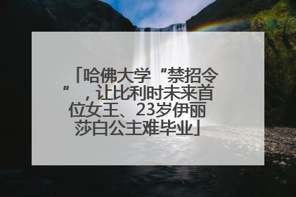 哈佛大学“禁招令”，让比利时未来首位女王、23岁伊丽莎白公主难毕业