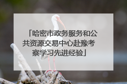 哈密市政务服务和公共资源交易中心赴豫考察学习先进经验