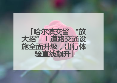 哈尔滨交警 “放大招”！道路交通设施全面升级，出行体验直线飙升