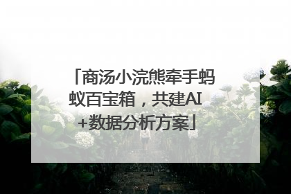 商汤小浣熊牵手蚂蚁百宝箱，共建AI+数据分析方案
