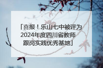 喜报！乐山七中被评为2024年度四川省教师跟岗实践优秀基地
