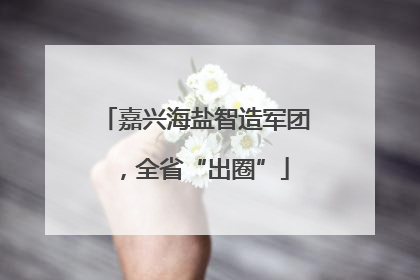 嘉兴海盐智造军团，全省“出圈”