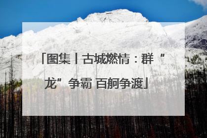 图集丨古城燃情：群“龙”争霸 百舸争渡