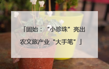 固始：“小珍珠”亮出农文旅产业“大手笔”