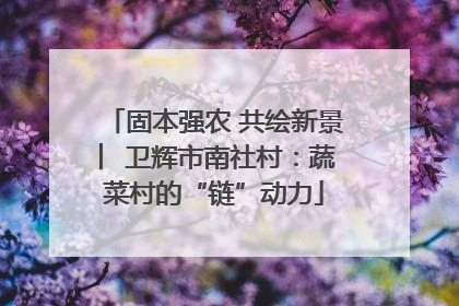 固本强农 共绘新景 ︳卫辉市南社村：蔬菜村的“链”动力