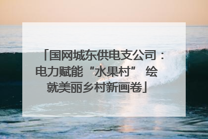 国网城东供电支公司：电力赋能“水果村” 绘就美丽乡村新画卷