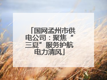 国网孟州市供电公司：聚焦“三夏”服务护航电力清风
