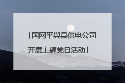 国网平舆县供电公司开展主题党日活动