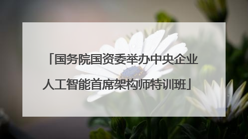 国务院国资委举办中央企业人工智能首席架构师特训班