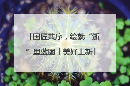 国匠共序，绘就“浙”里蓝图丨美好上新