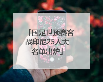 国足世预赛客战印尼25人大名单出炉