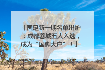 国足新一期名单出炉：成都蓉城五人入选，成为“国脚大户”！