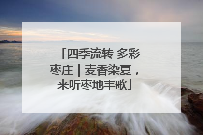 四季流转 多彩枣庄｜麦香染夏，来听枣地丰歌