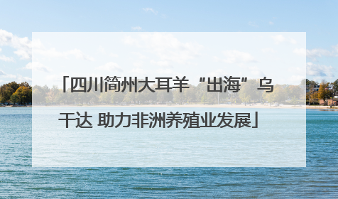 四川简州大耳羊“出海”乌干达 助力非洲养殖业发展