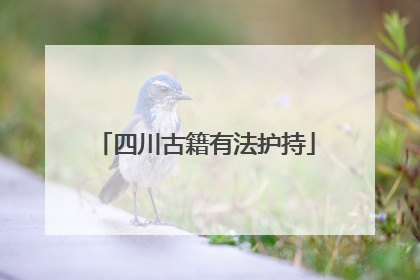 四川古籍有法护持