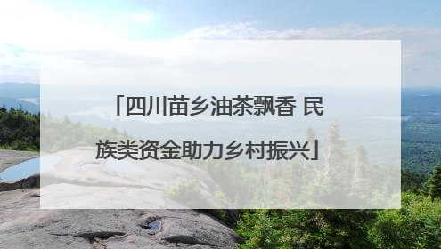 四川苗乡油茶飘香 民族类资金助力乡村振兴