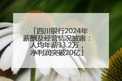 四川银行2024年薪酬及经营情况披露：人均年薪33.2万，净利润突破20亿