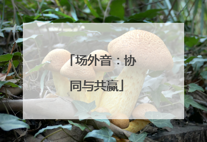 场外音：协同与共赢