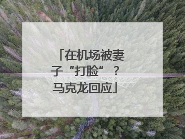 在机场被妻子“打脸”？马克龙回应
