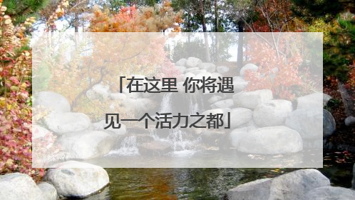 在这里 你将遇见一个活力之都
