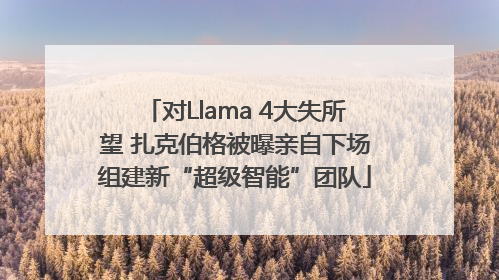 对Llama 4大失所望 扎克伯格被曝亲自下场组建新“超级智能”团队
