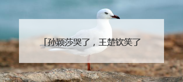 孙颖莎哭了，王楚钦笑了，潘展乐金牌“批发”！