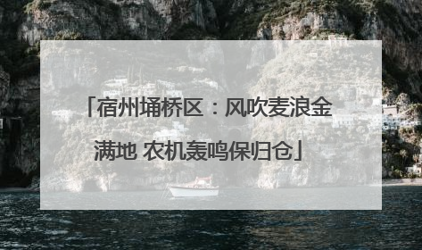 宿州埇桥区：风吹麦浪金满地 农机轰鸣保归仓