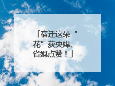 宿迁这朵“花”获央媒、省媒点赞！