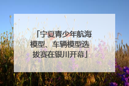 宁夏青少年航海模型、车辆模型选拔赛在银川开幕