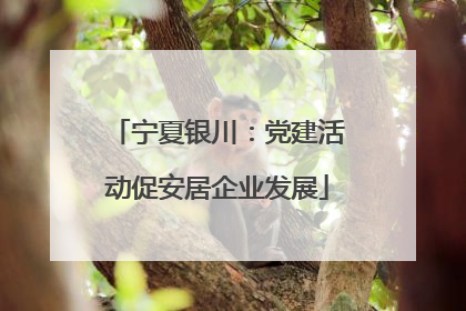 宁夏银川：党建活动促安居企业发展