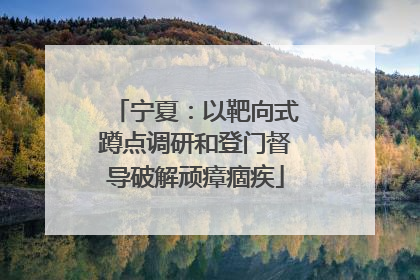 宁夏：以靶向式蹲点调研和登门督导破解顽瘴痼疾