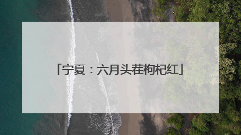 宁夏：六月头茬枸杞红