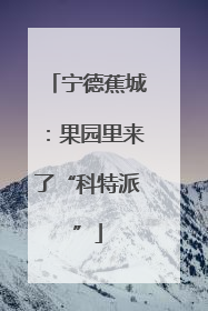 宁德蕉城：果园里来了“科特派”