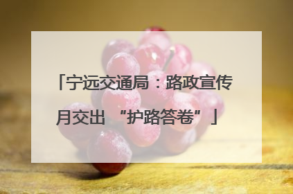宁远交通局：路政宣传月交出 “护路答卷”