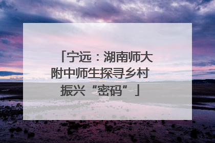 宁远：湖南师大附中师生探寻乡村振兴“密码”