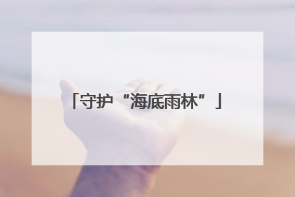守护“海底雨林”