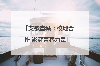 安徽宣城：校地合作 澎湃青春力量