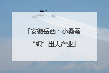 安徽岳西：小桑蚕“织”出大产业
