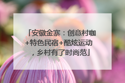 安徽金寨：创意村咖+特色民宿+酷炫运动，乡村有了时尚范