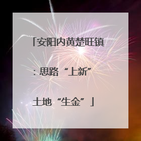 安阳内黄楚旺镇：思路“上新” 土地“生金”