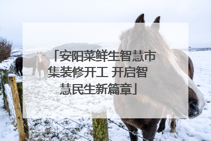安阳菜鲜生智慧市集装修开工 开启智慧民生新篇章